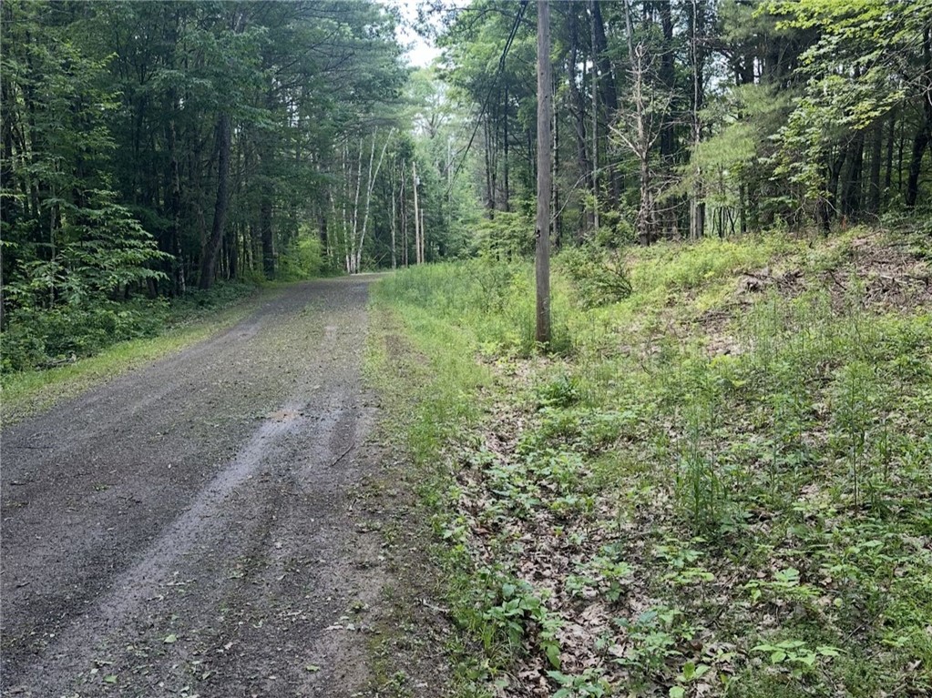 Deer Path Stamford, NY 12167 - Photo 4 of 7