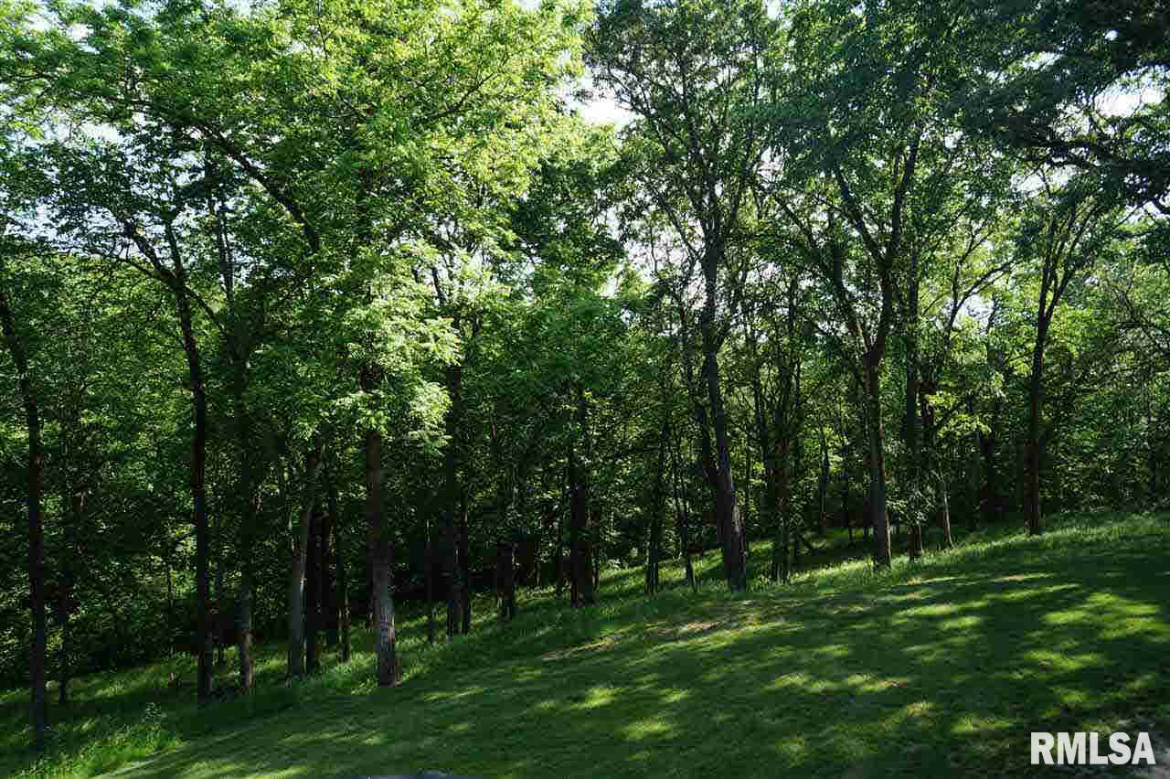 301 Hickory Hills Road Geneseo, IL 61254 - Photo 23 of 24 Gallery Image 23