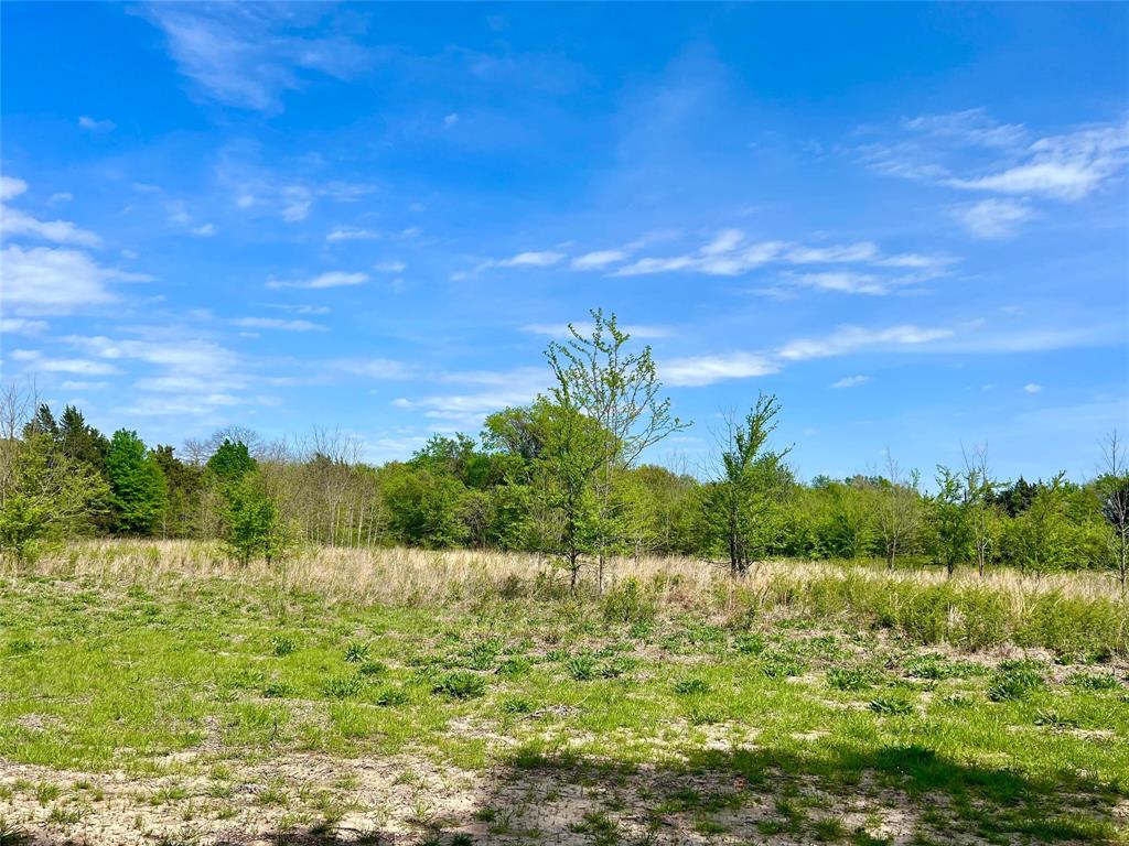 a view of lake with green space