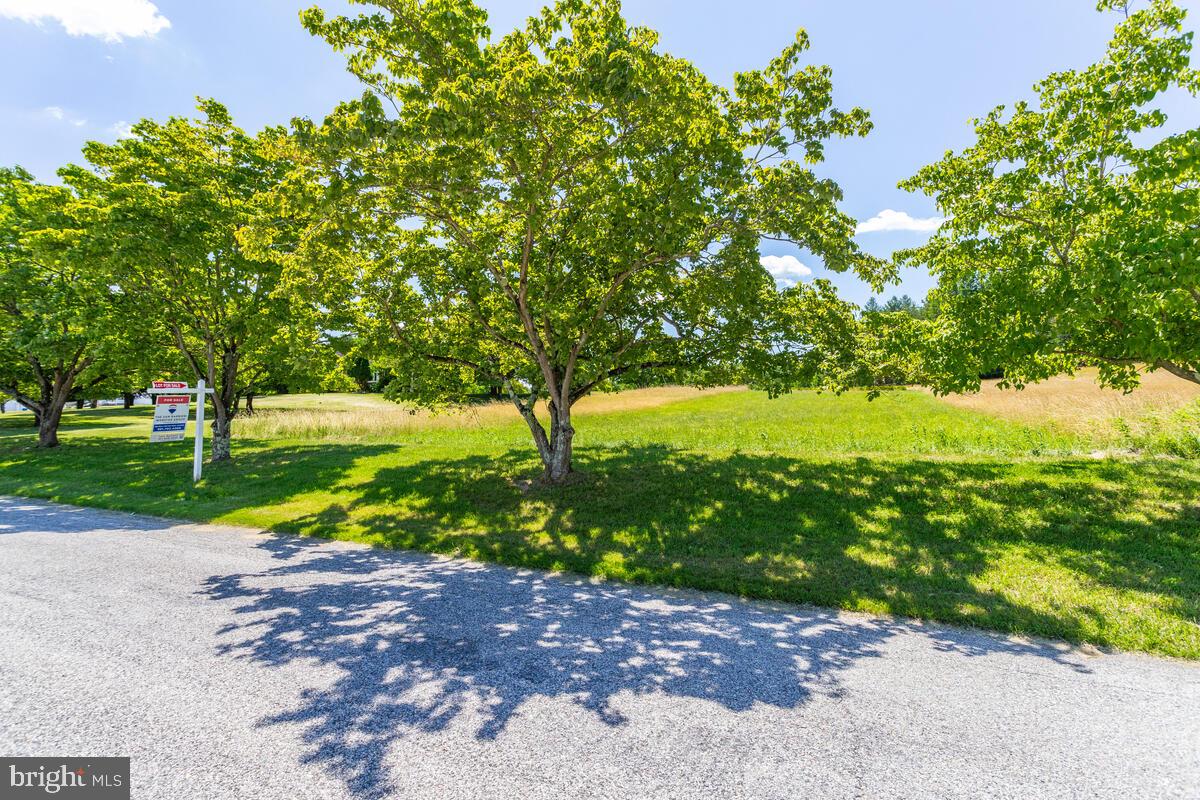 17065 Magruders Ferry Road Brandywine, MD 20613 - Photo 8 of 31 Gallery Image 8
