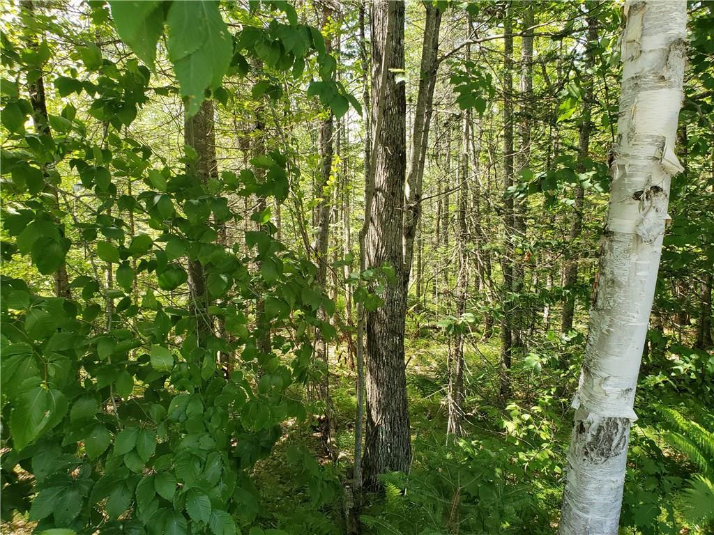 Mapr8-lot6 Town Farm Road Hartford, ME 04220 - Photo 7 of 7 Photo