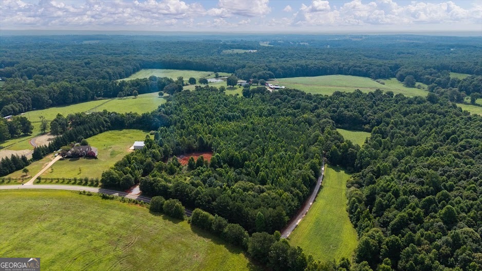 0 Shirey Dairy Road Carrollton, GA 30117 - Photo 13 of 19