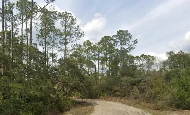 a view of a yard with a tree
