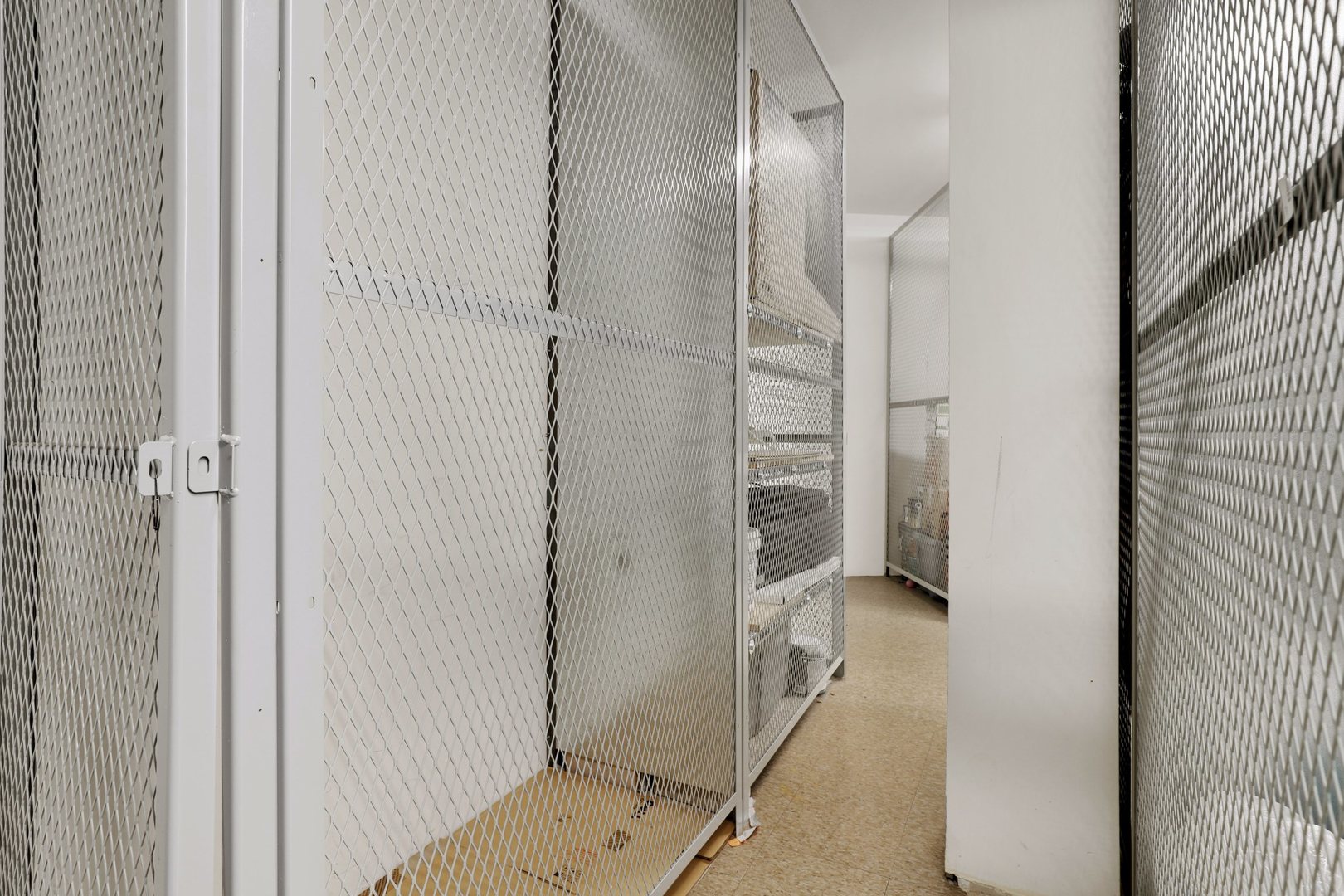 1910 South State Street, Unit 303 Chicago, IL 60616 - Photo 17 of 19 a view of closet area