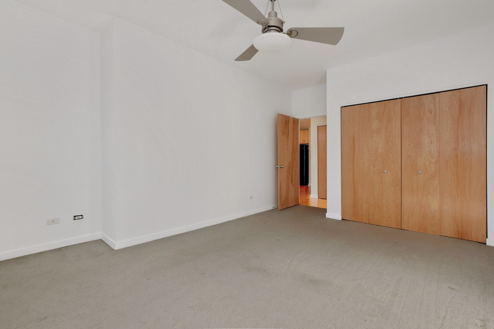 1910 South State Street, Unit 303 Chicago, IL 60616 - Photo 10 of 19 an empty room with closet area