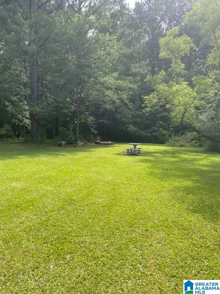 0 Evergreen Road, Unit 1 Springville, AL 35146 - Photo 13 of 14 Gallery Image 13