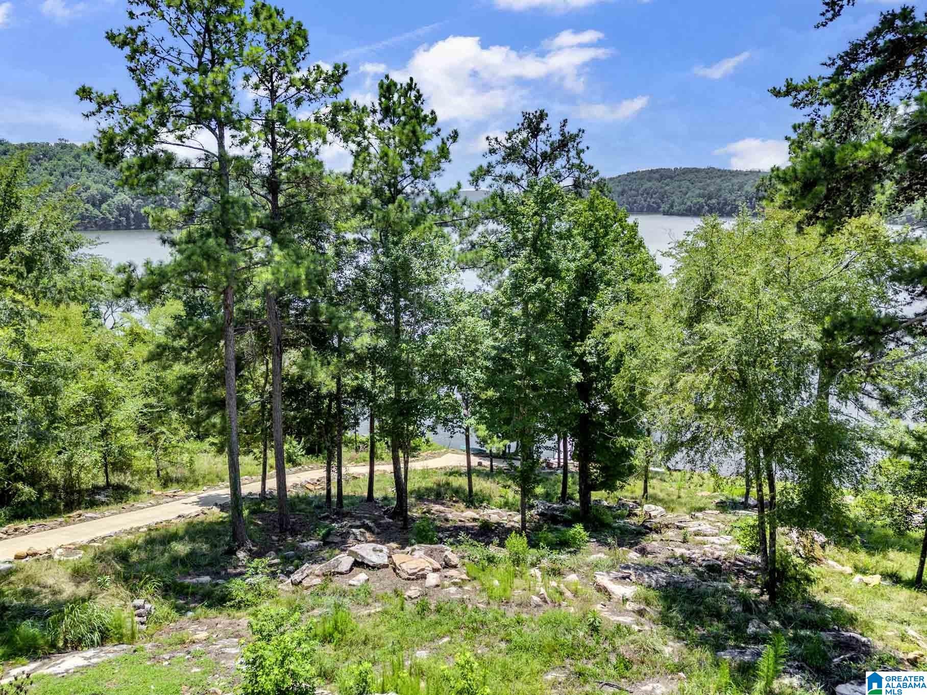 25 Trevas Point Ohatchee, AL 36271 - Photo 78 of 90