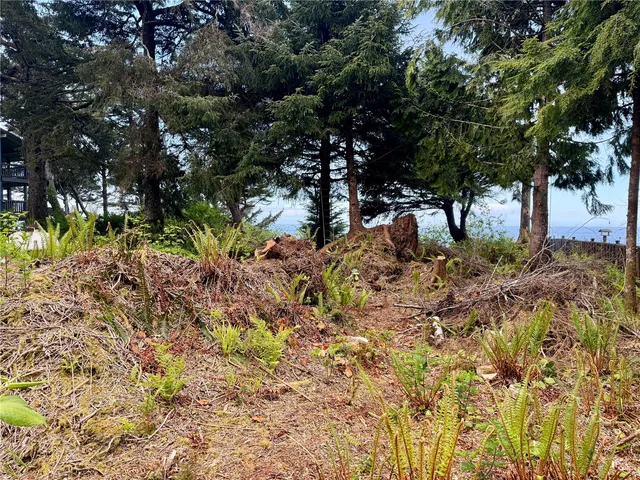 a view of a tree in a yard