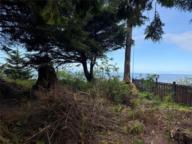 a view of a tree in a yard