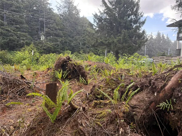 $320,000 | 4653 State Route 109, Moclips, WA 98562