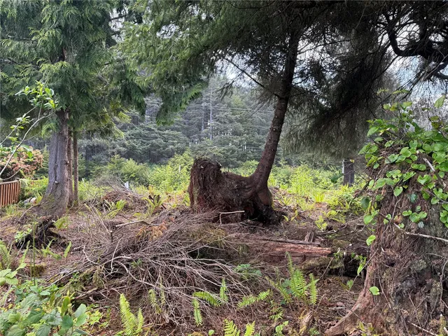 a view of an outdoor space