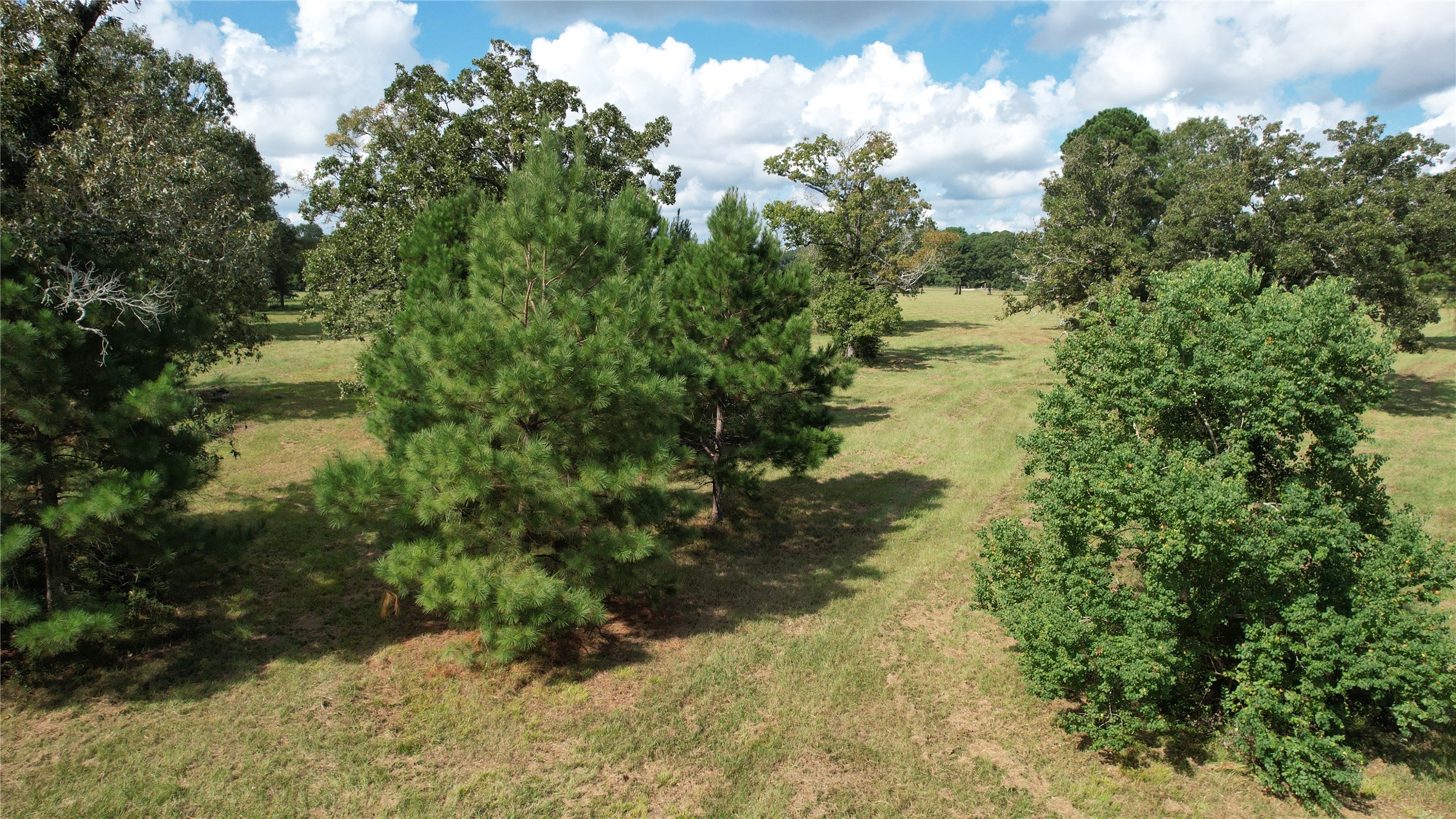 914 Jones Road New Waverly, TX 77358 - Photo 3 of 5
