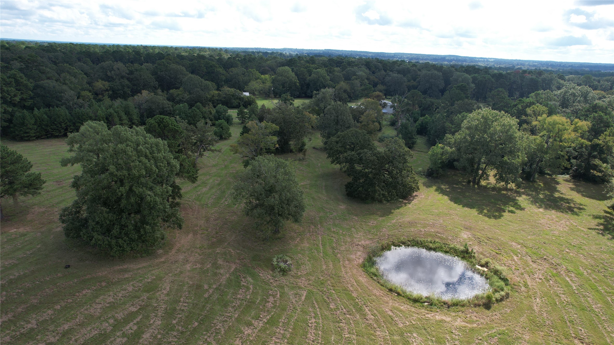 914 Jones Road New Waverly, TX 77358 - Photo 4 of 5