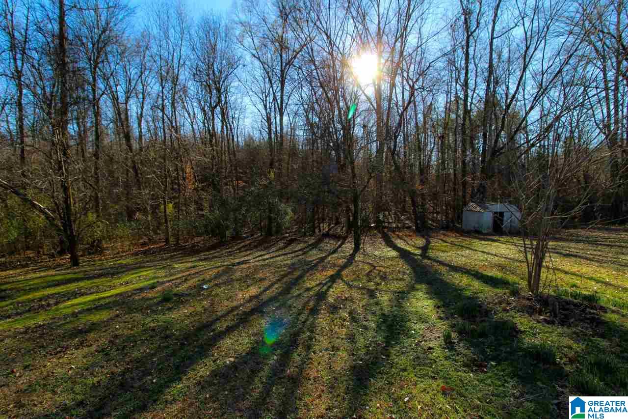 496 Greensport Road Ohatchee, AL 36271 - Photo 23 of 30