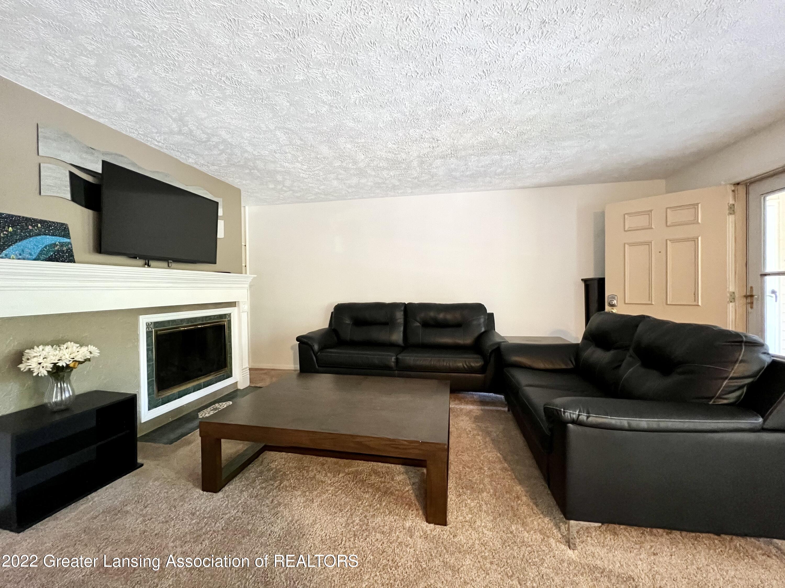 2024 Hamilton Road, Unit 206 Okemos, MI 48864 - Photo 13 of 29 13 Living Room Wood burning fireplace