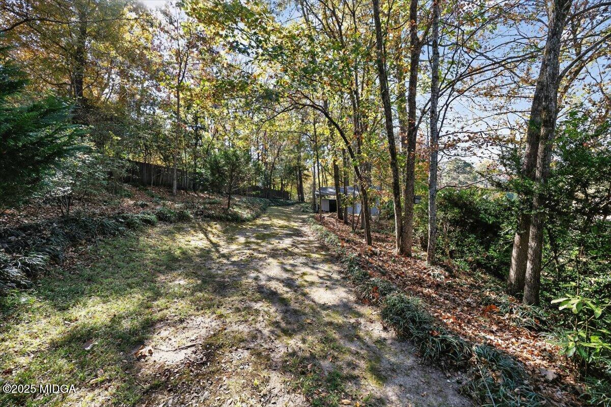 673 Commanche Drive Macon, GA 31210 - Photo 33 of 40 a view of a forest with trees in the background
