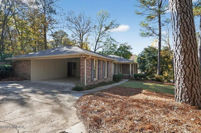 a view of a yard with a house and a large tree