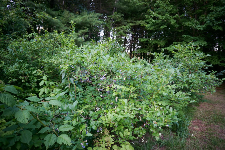 673 Bald Hill Road Wells, ME 04090 - Photo 13 of 50 Bald Hill Road (135)