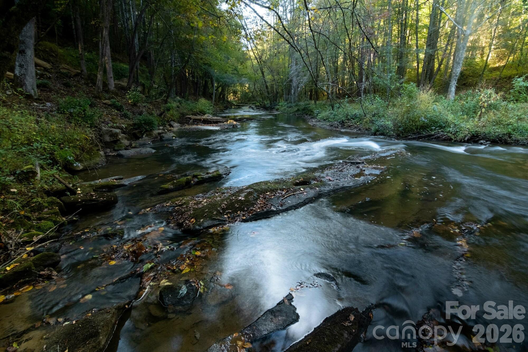 2108 River Hill Road Murphy, NC 28906 - Photo 27 of 31 a view of a forest with trees