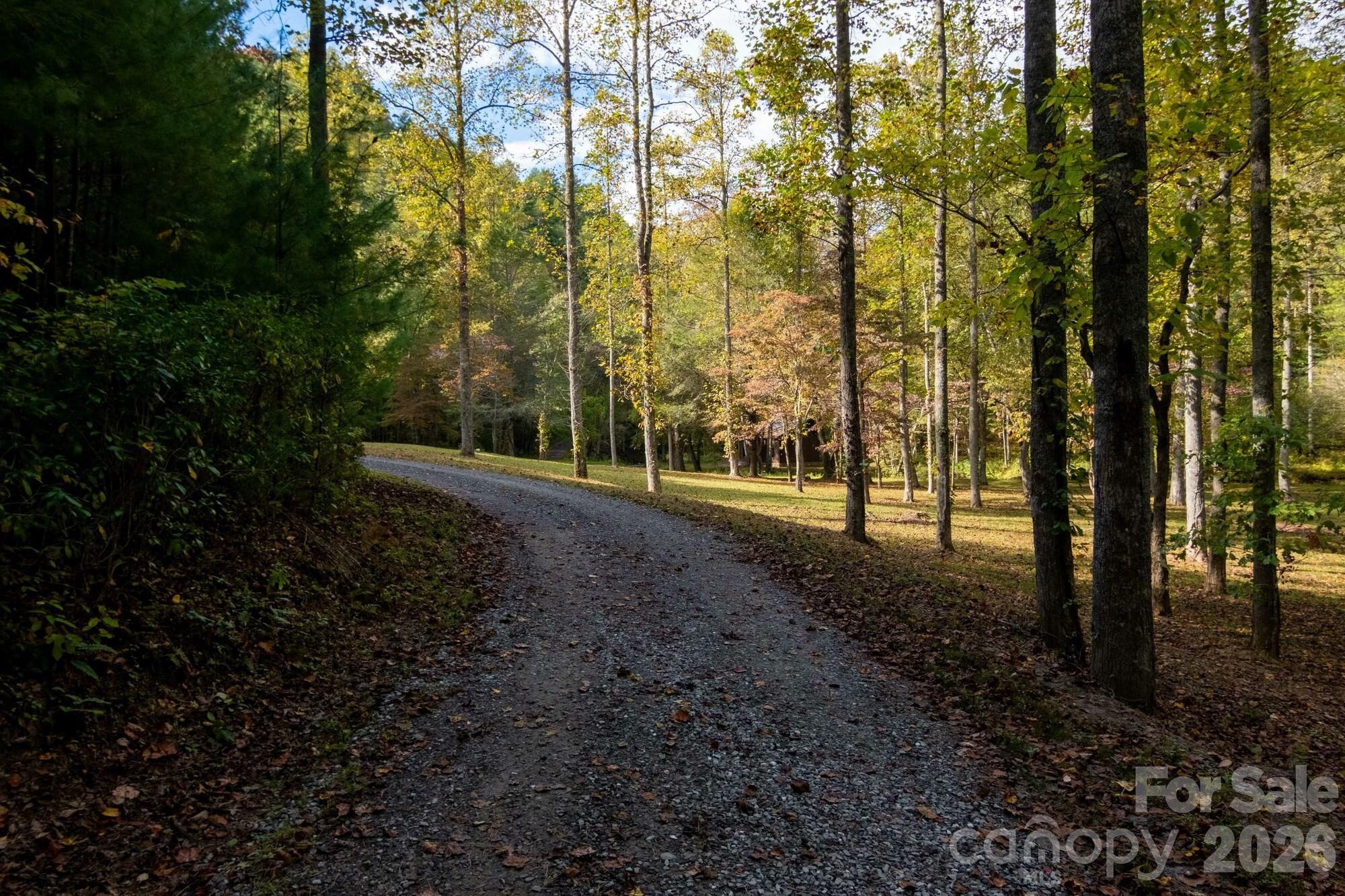 2108 River Hill Road Murphy, NC 28906 - Photo 28 of 31 a view of a forest with trees
