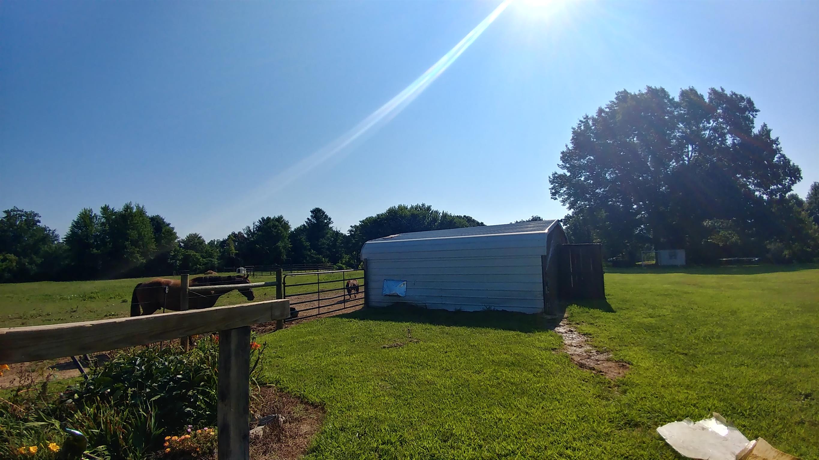 307 Butler Road Portland, TN 37148 - Photo 6 of 21 a view of a backyard