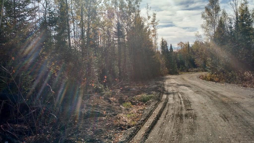 Lot 6 Tar Ridge Road Springfield, ME 04487 - Photo 4 of 4 Photo