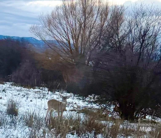 $624,900 | 58 Wapiti Ct Garden Valley, Garden Valley, ID 83622