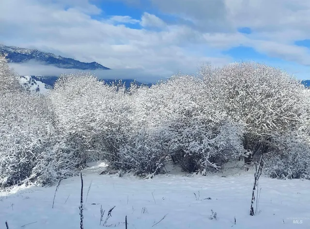 $655,900 | 58 Wapiti Ct Garden Valley, Garden Valley, ID 83622