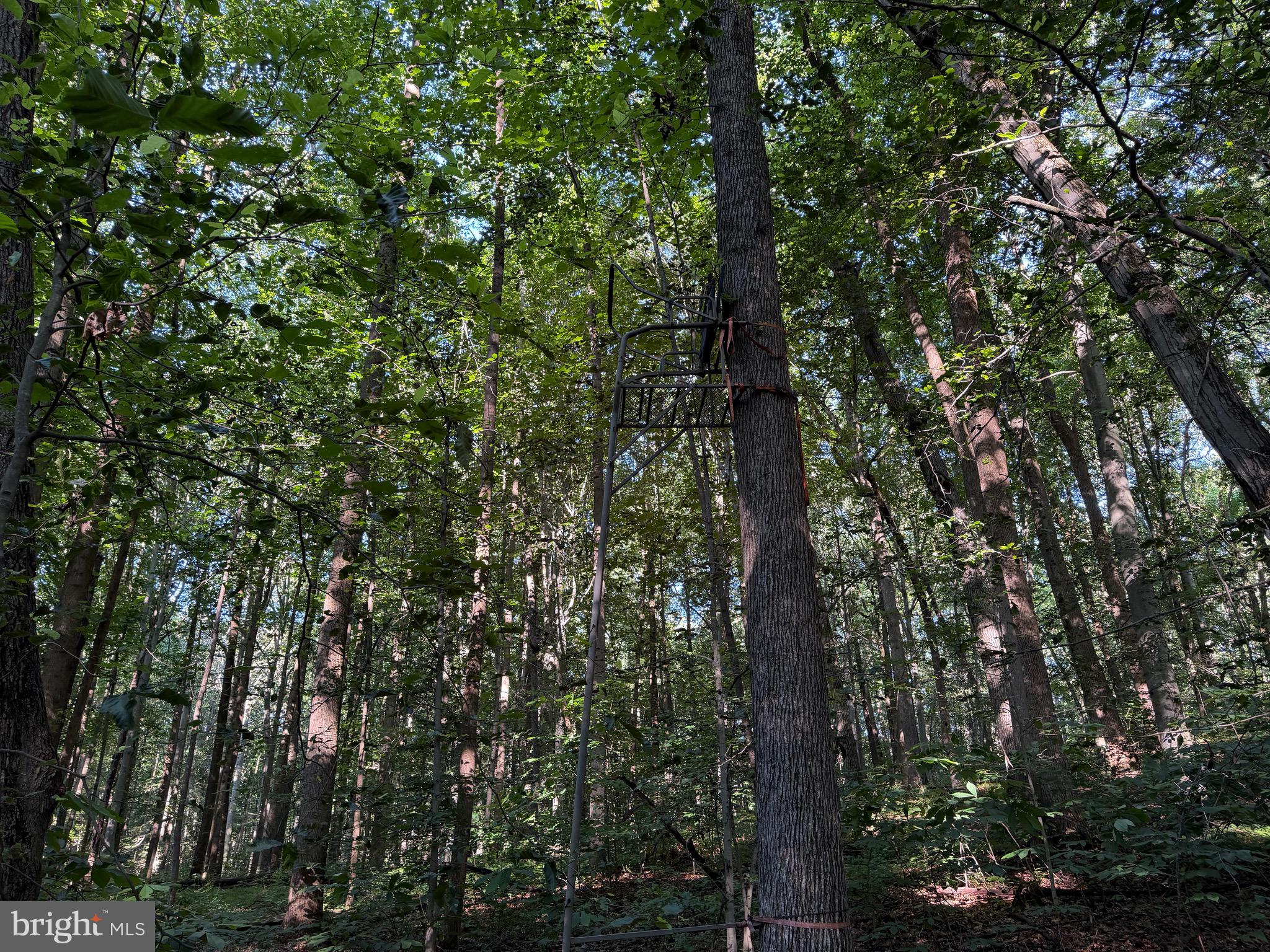 0 Rock Springs Road Conowingo, MD 21918 - Photo 53 of 79