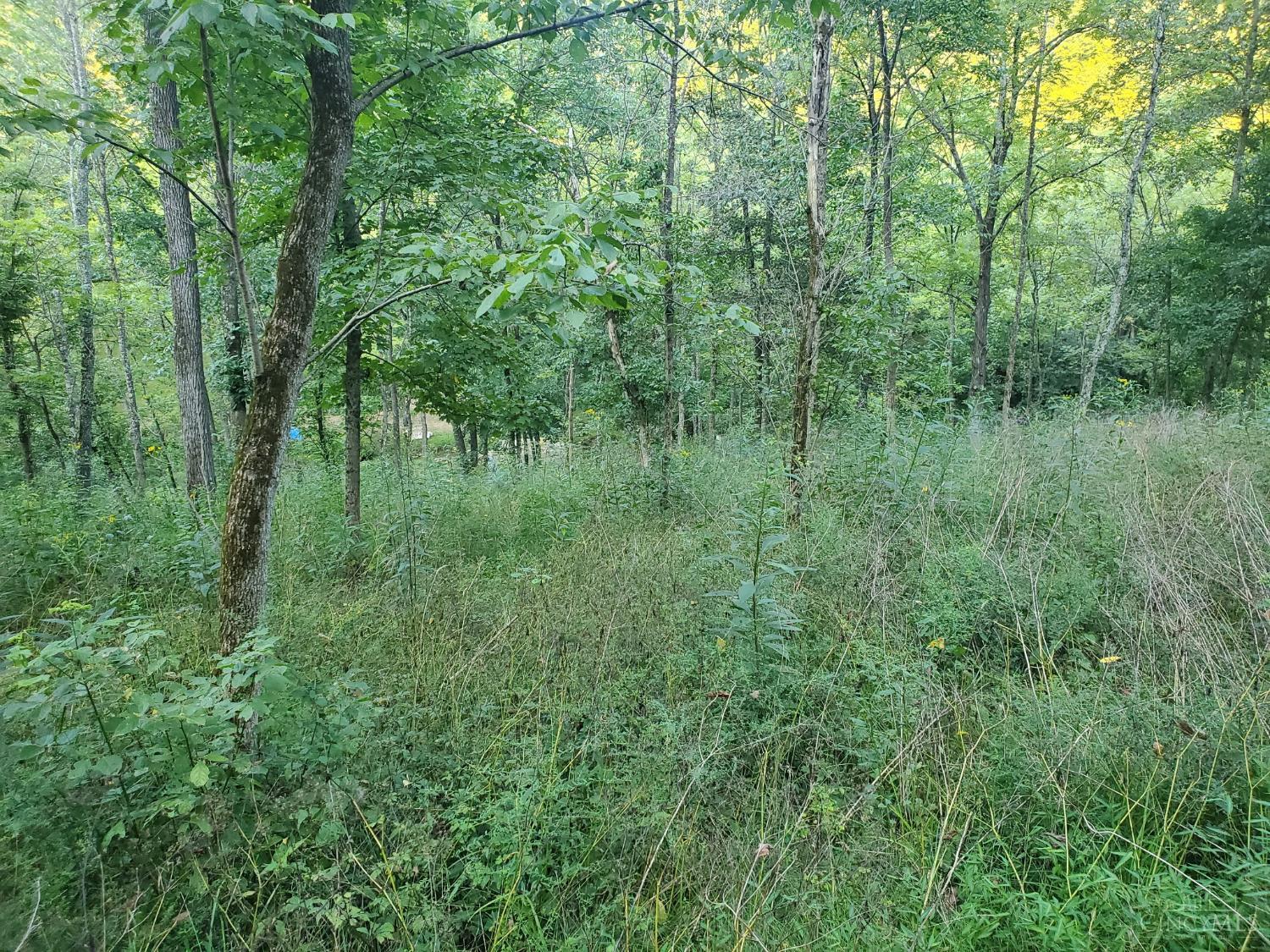 11050 Bond Road Harrison, OH 45030 - Photo 13 of 17