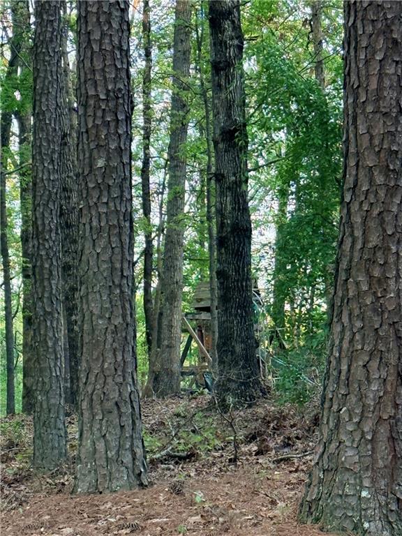 Lot 7 Pea Ridge Road Ball Ground, GA 30107 - Photo 3 of 3 Gallery Image 3