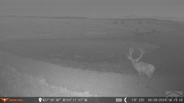 94 County Road North Model, CO 81059 - Photo 18 of 41