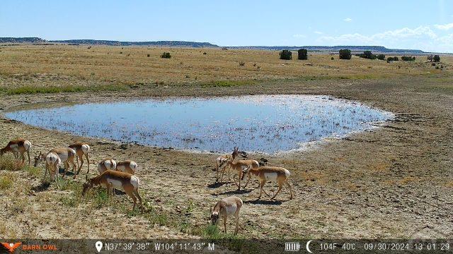 94 County Road North Model, CO 81059 - Photo 19 of 41
