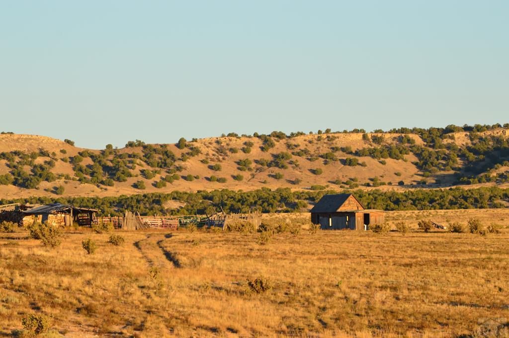 94 County Road North Model, CO 81059 - Photo 21 of 41