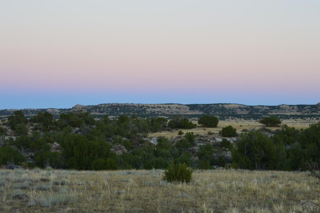 94 County Road North Model, CO 81059 - Photo 23 of 41