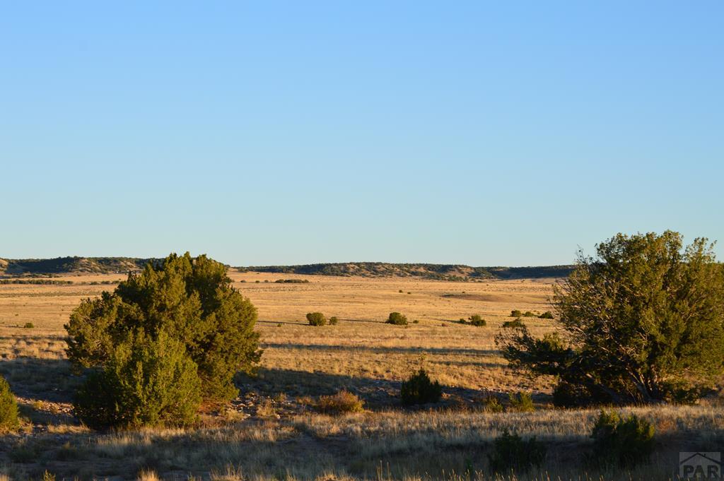 94 County Road North Model, CO 81059 - Photo 30 of 41