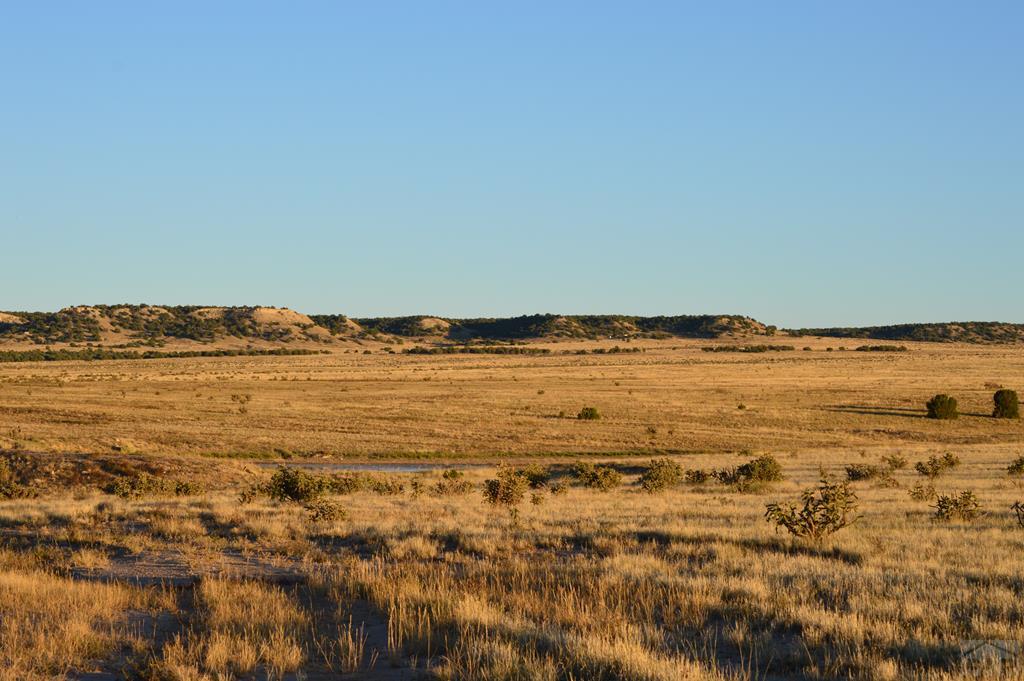 94 County Road North Model, CO 81059 - Photo 33 of 41