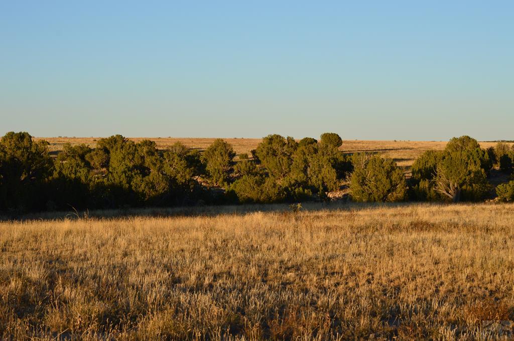 94 County Road North Model, CO 81059 - Photo 36 of 41