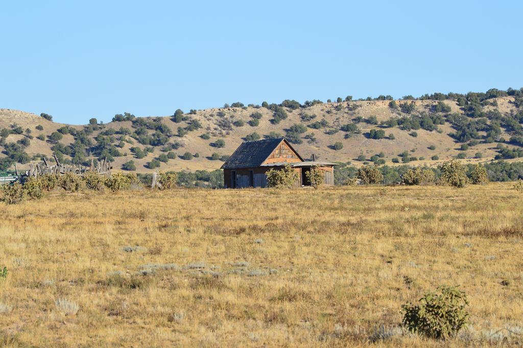 94 County Road North Model, CO 81059 - Photo 40 of 41