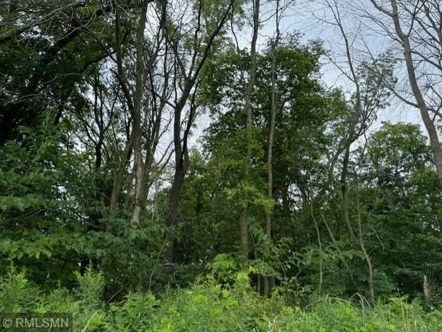 $499,000 | 10 Acres Just Off Twin Bluff Lane South, Stockholm, WI 54769