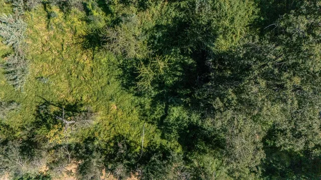 $24,900 | 348 Marshall Street, Grass Valley, CA 95945