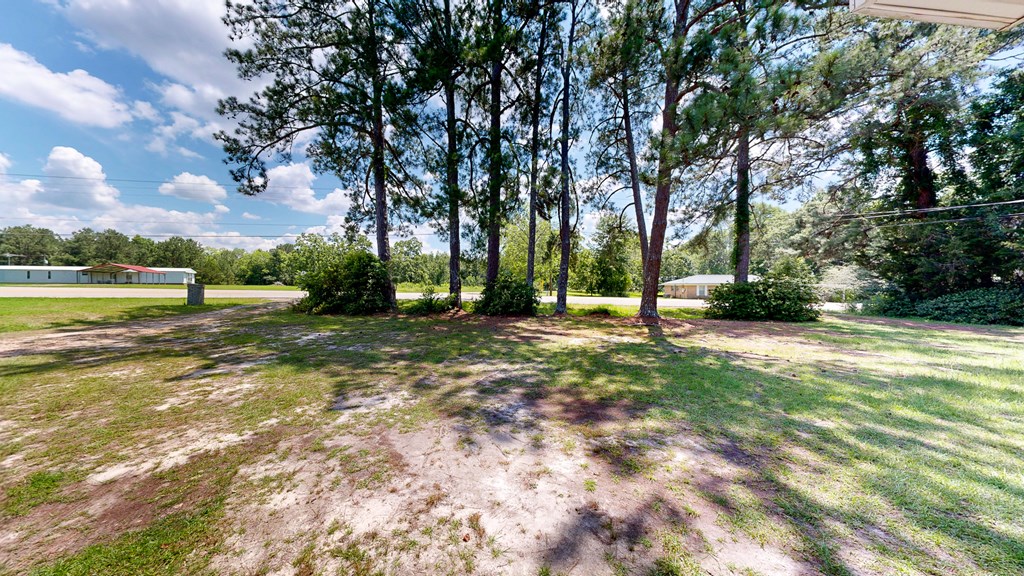 1888 Marley Mill Road Ozark, AL 36360 - Photo 4 of 31