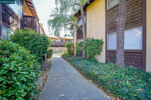 a view of a pathway both side of house