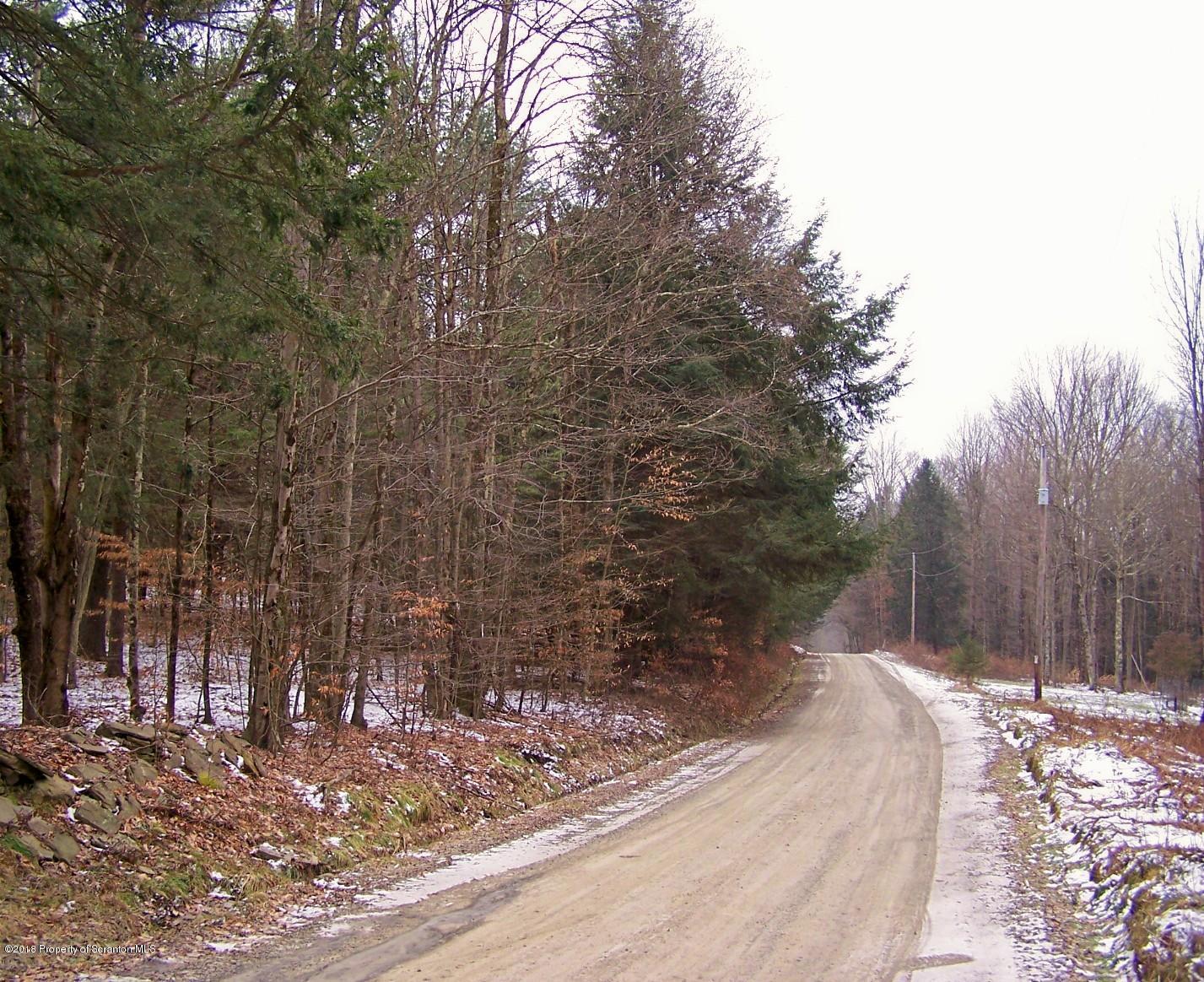 1172 Howard Road Friendsville, PA 18818 - Photo 3 of 18 S_Road Frontage