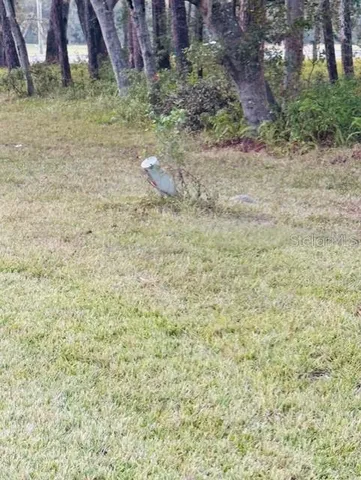 a view of a yard with an outdoor space
