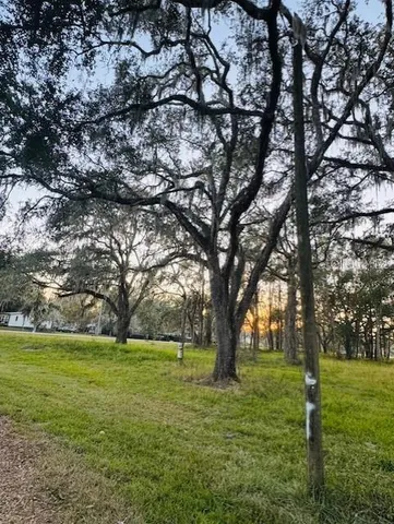 a view of yard with trees