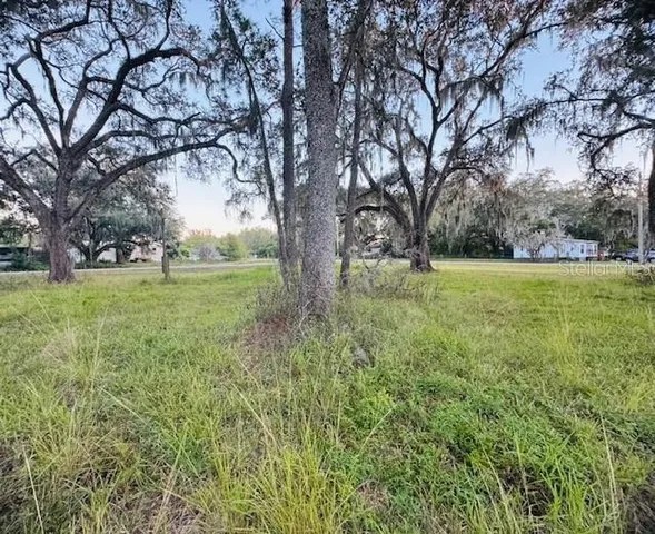 a view of a field with large trees