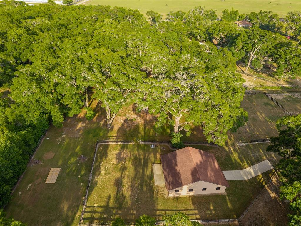 8117 Southwest 41st Place Road Ocala, FL 34481 - Photo 21 of 55