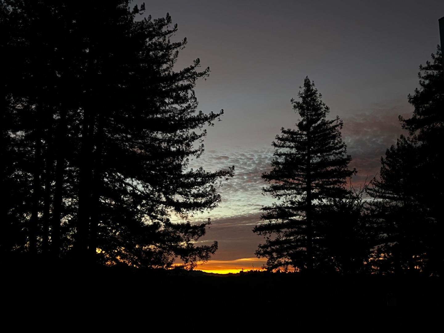 2500 Nelson Road Scotts Valley, CA 95066 - Photo 69 of 77