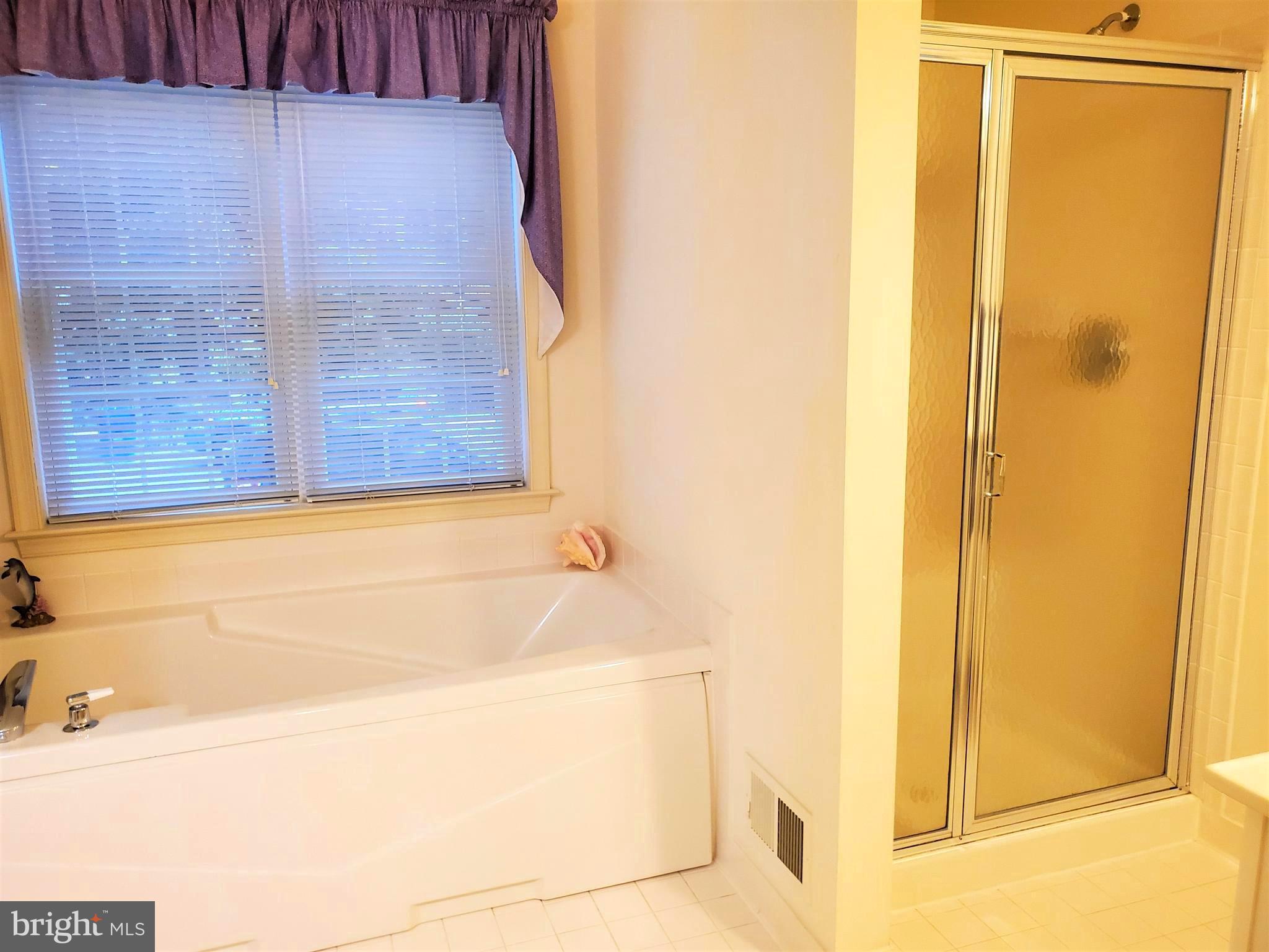 2635 Bear Den Road Frederick, MD 21701 - Photo 19 of 31 Master bath with garden tub & separate shower
